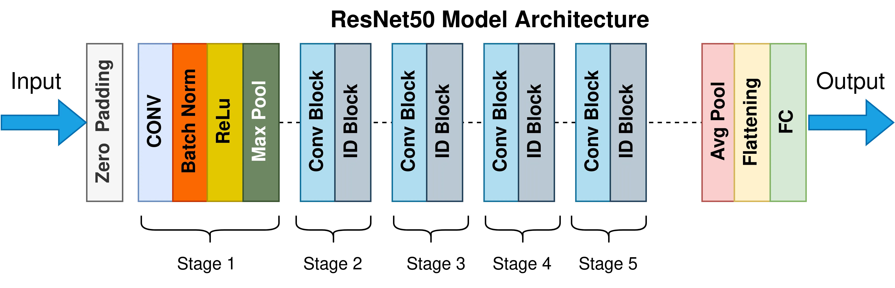 ResNet-50 architecture